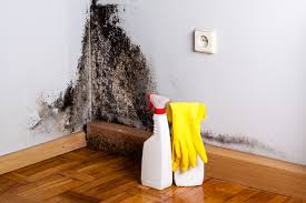 Best Attic Mold Removal  in Croom, MD